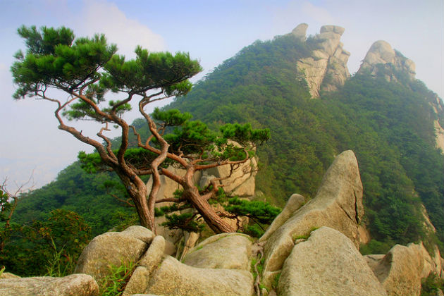 Chinh phục những ngọn núi tuyệt đẹp ở Hàn Quốc