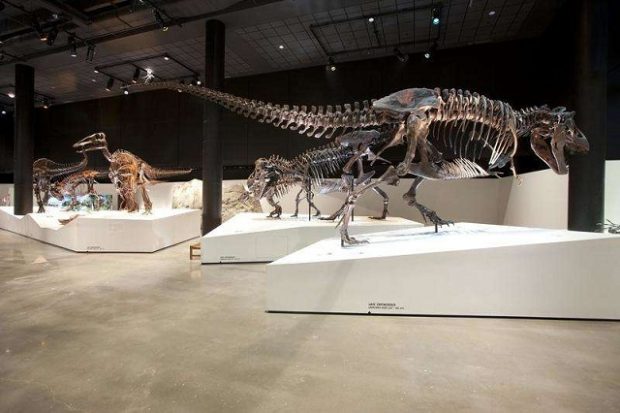 Bảo tàng nghệ thuật Houston là nơi trưng bày những bộ xương khủng long to lớn 