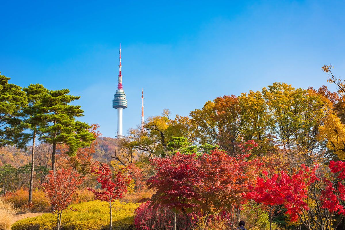 Tháp N Seoul: Ngắm Toàn Cảnh Thành Phố Từ Núi Namsan