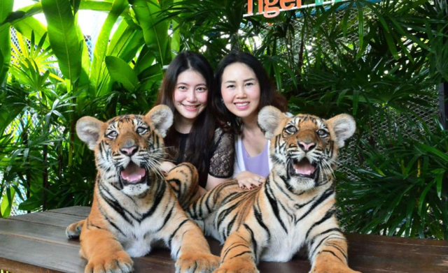 Tham quan sở thú Phuket 