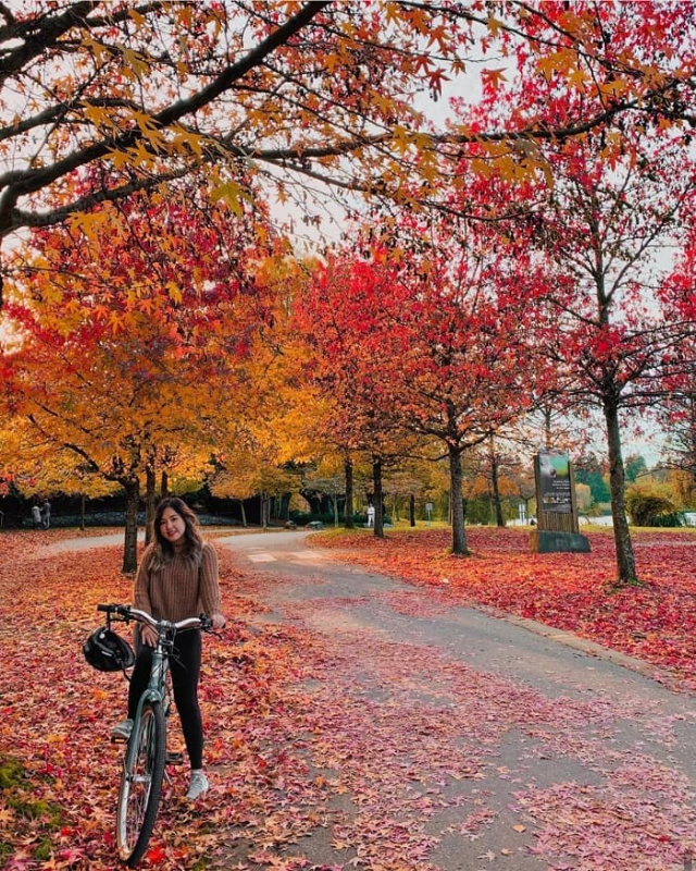 Mùa thu lá phong đỏ tại Vancouver Canada