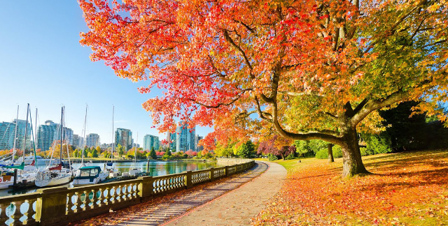 Công viên Stanley, Vancouver