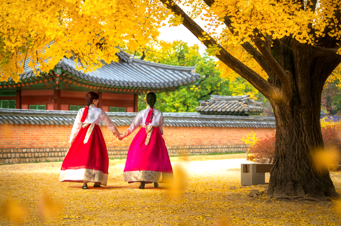 Trải nghiệm những điều tuyệt vời của màu thu Hàn Quốc