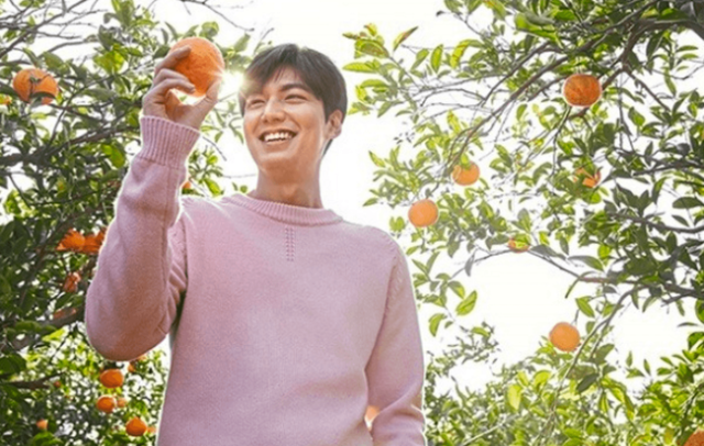 Quýt Jeju là một loại quả cam đặc sản của đảo Jeju